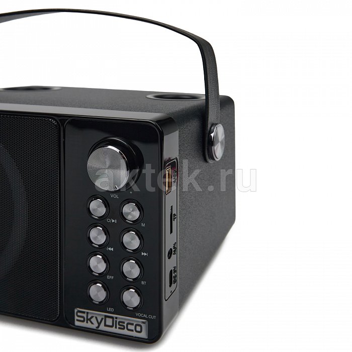 Портативная караоке колонка с микрофонами SkyDisco YS-314 9