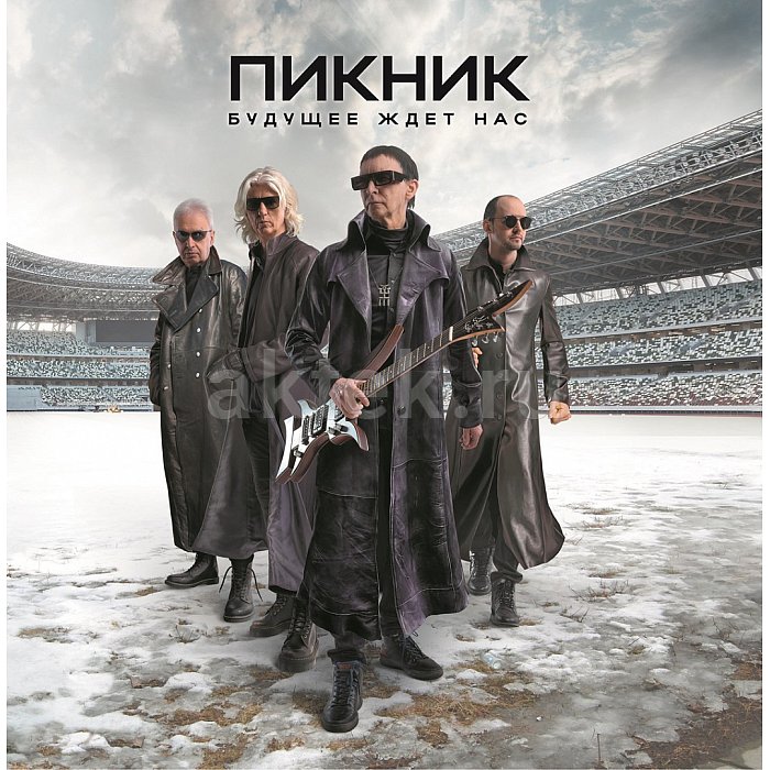 Виниловая пластинка ПИКНИК - БУДУЩЕЕ ЖДЁТ НАС BLACK VINYL 12"