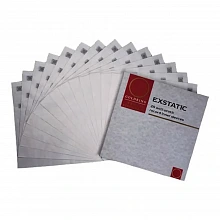 Пакеты для хранения винила Goldring EXSTATIC RECORD SLVE 2