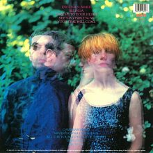 Виниловая пластинка EURYTHMICS - IN THE GARDEN 180 GRAM BLACK VINYL 12" 2