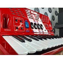 Цифровой аккордеон Roland FR-1X RD 2
