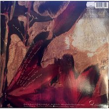 Виниловая пластинка ENYA - WATERMARK 180 GRAM BLACK VINYL 12" 2