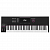 MIDI-клавиатура Native Instruments Komplete Kontrol S61 Mk3