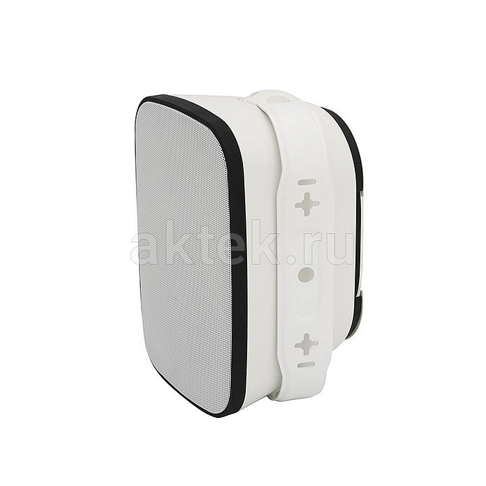 NEVOD DWS-880PW настенный трансляционный громкоговоритель, 80 Вт, IP66 3
