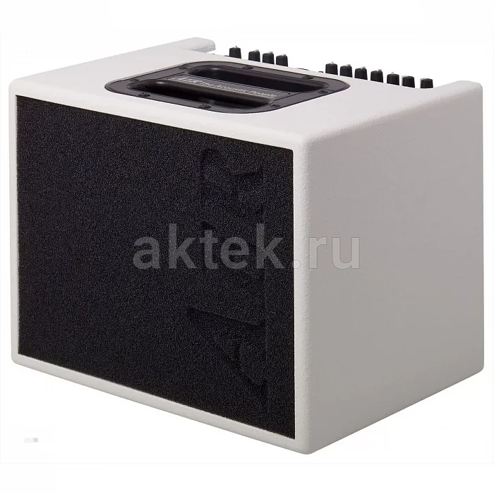 AER Compact 60-4 WSF гитарный усилитель, 60 Вт, 2 канала