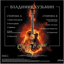 Виниловая пластинка ВЛАДИМИР КУЗЬМИН - СЛЕЗЫ В ОГНЕ BLACK VINYL 12" 2