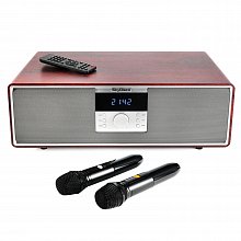 Караоке-колонка с микрофонами SkyDisco Aura-BT 200 Вт