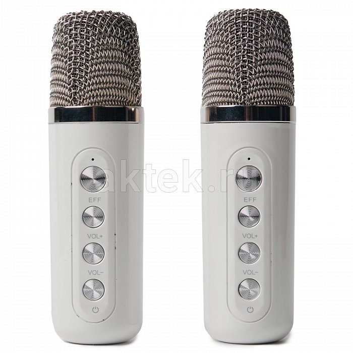 Портативная караоке колонка с микрофонами SkyDisco YS-219 white 2