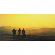 Виниловая пластинка ARCTIC MONKEYS - SUCK IT AND SEE 180 GRAM BLACK VINYL 12" 2