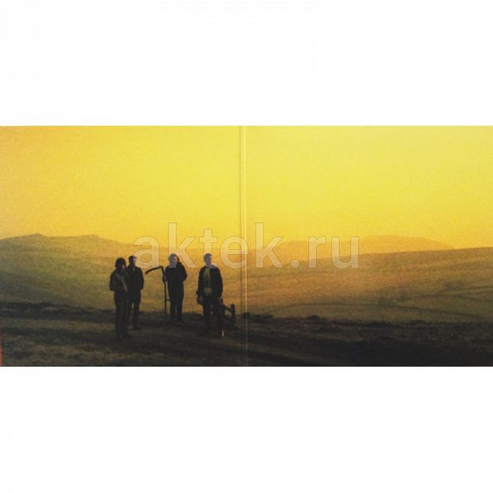 Виниловая пластинка ARCTIC MONKEYS - SUCK IT AND SEE 180 GRAM BLACK VINYL 12" 2