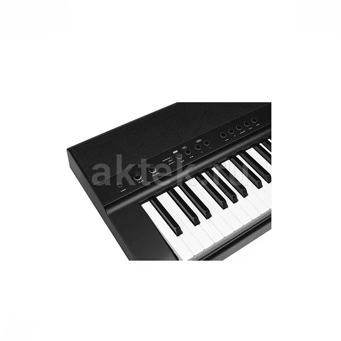 Medeli SP201 BK цифровое пианино, 88 клавиш, 192 голоса 3