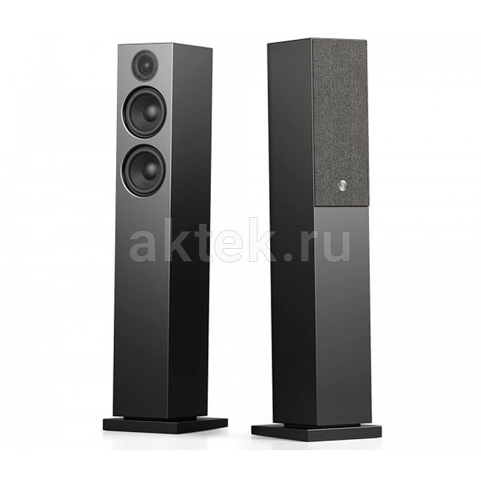 Караоке система с микрофонами и акустикой Studio Evolution EVOBOX+SE 200D+Audio Pro A38 Black 11