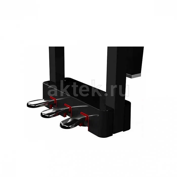 Roland GP 6 PE цифровой рояль, 88 клавиш, 256 голосов 4