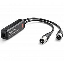 Студийный контроллер Audinate Dante AVIO Analog Output 2 ch