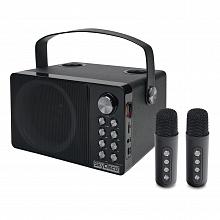 Портативная караоке колонка с микрофонами SkyDisco YS-314