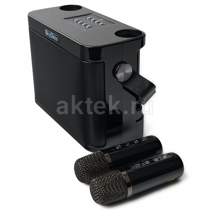 Портативная караоке колонка с микрофонами SkyDisco YS-219 10