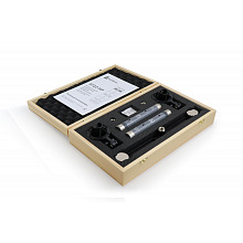 AuraSonics AP22-MP инструментальные студийные микрофоны, золотой 2