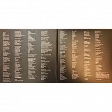 Виниловая пластинка BILLIE EILISH - WHEN WE ALL FALL ASLEEP 180 GRAM BLACK VINYL 12" 3