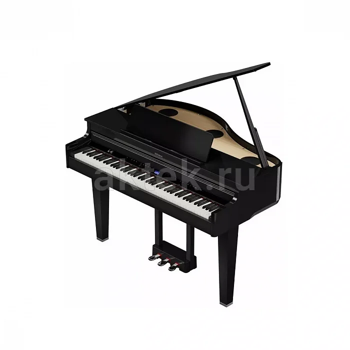 Roland GP 6 PE цифровой рояль, 88 клавиш, 256 голосов 9