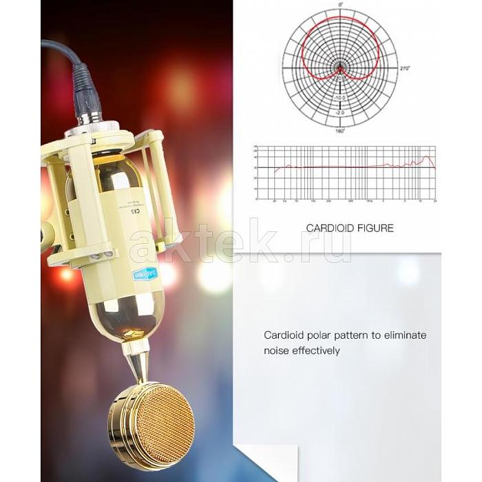 Студийный микрофон Alctron CX5 6