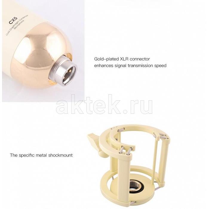 Студийный микрофон Alctron CX5 7