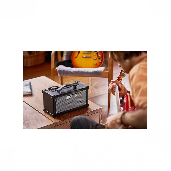 Boss DUAL CUBE LX настольный стереокомбоусилитель, 10 Вт, 2×4″, USB 6