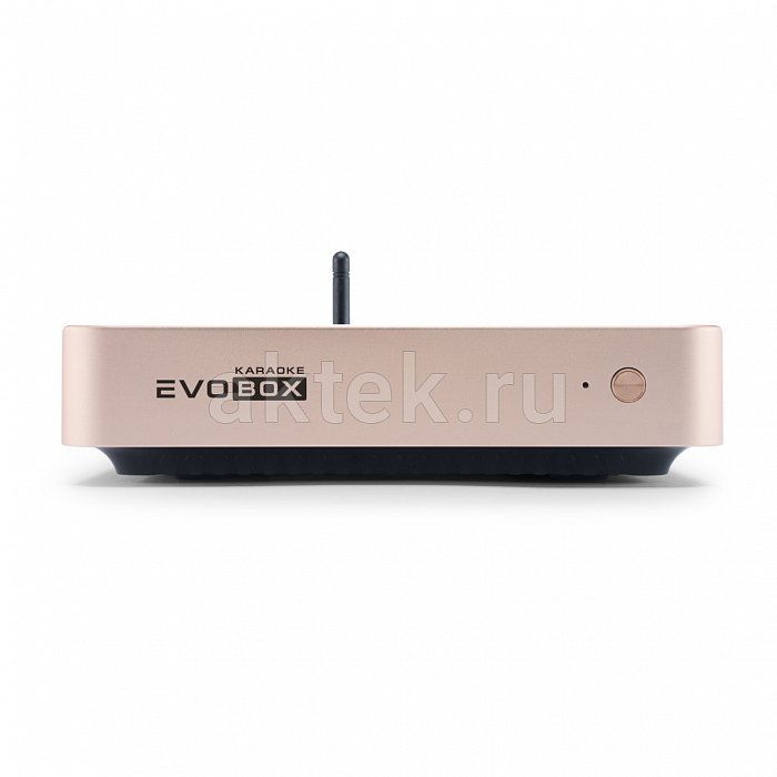 Караоке система с микрофонами Studio Evolution EVOBOX Plus Black 9