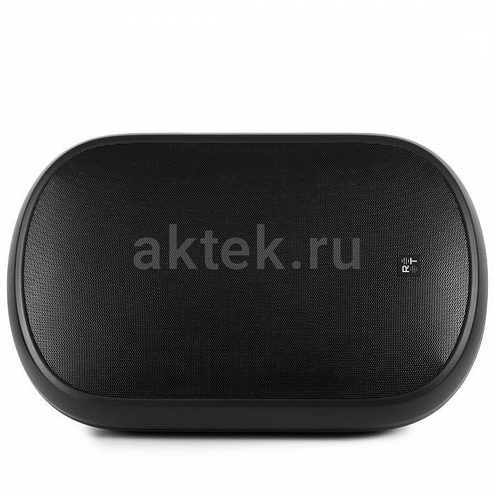 Всепогодная акустическая система Radiotehnika RT PARK 8T Black 4
