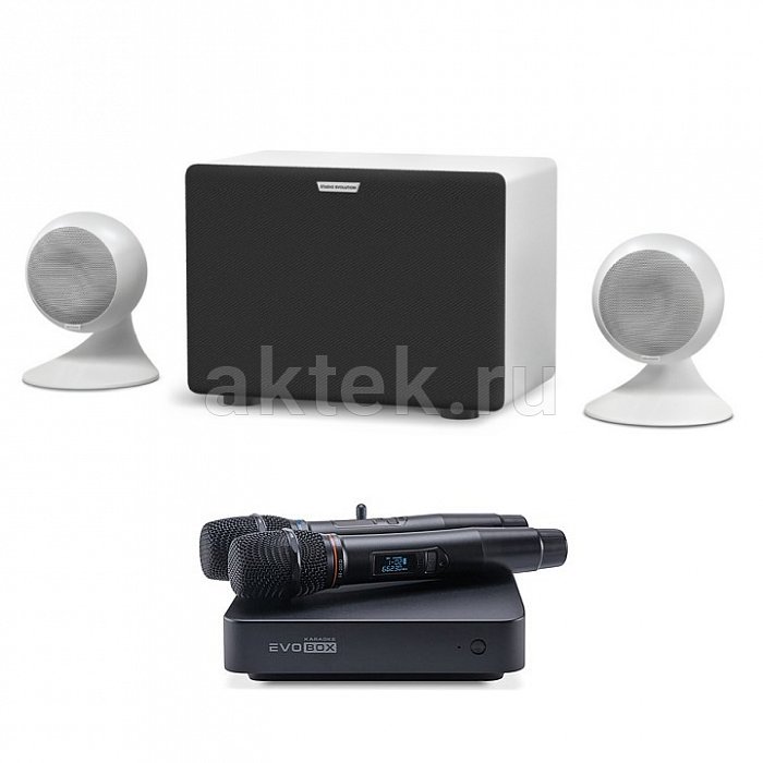 Домашнее профессиональное караоке EVOBOX PLUS + Sphere 2.1 Pearl Black