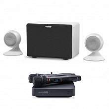 Домашнее профессиональное караоке EVOBOX PLUS Black + Sphere 2.1 Pearl