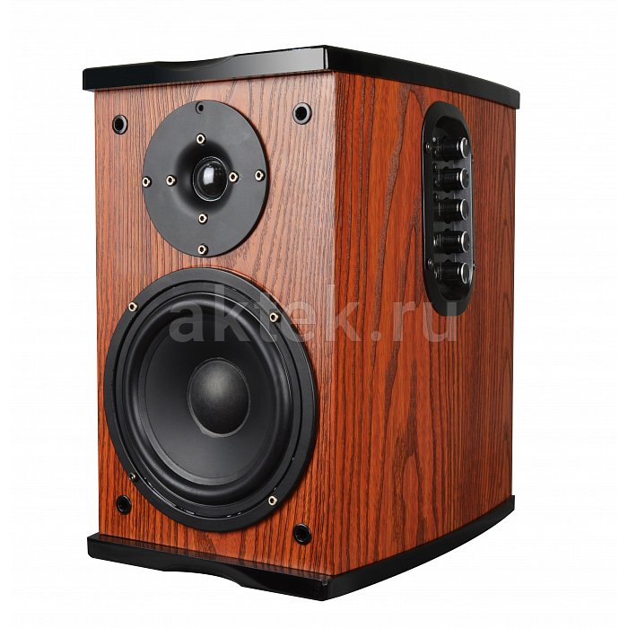 Активные полочные колонки SkyDisco Q1 2x50W 2