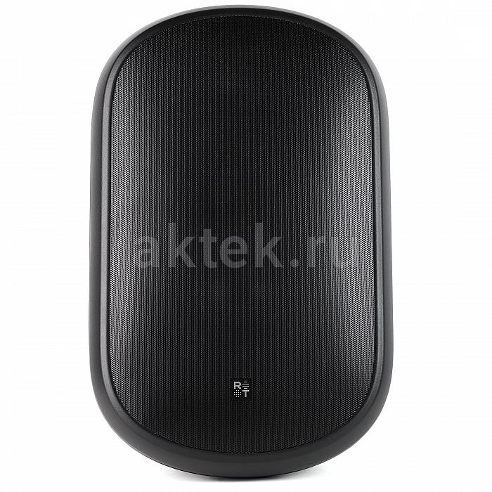Всепогодная акустическая система Radiotehnika RT PARK 8T Black 2