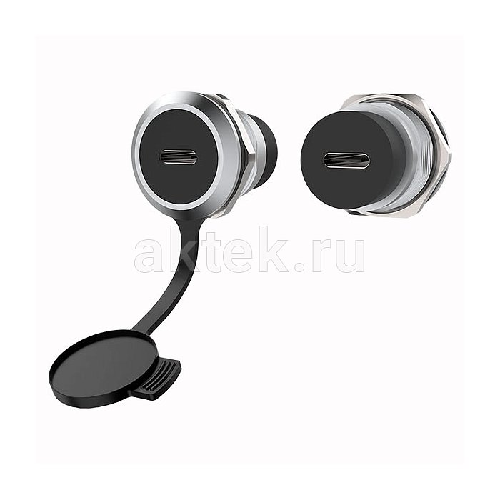 ROXTONE RAUC24-C разъём USB-C, серебристый 2