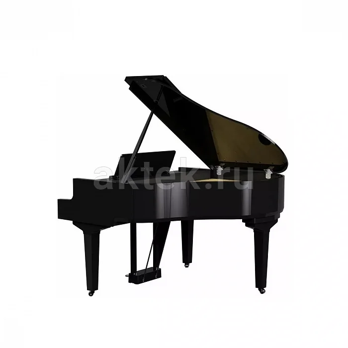 Roland GP 9M PE цифровой рояль-дисклавир, 88 клавиш, самоиграющий механизм 10