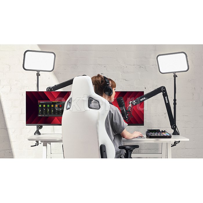 RODE XDM-100 + PSA1+ динамический кардиоидный USB микрофон. Битрейт 6