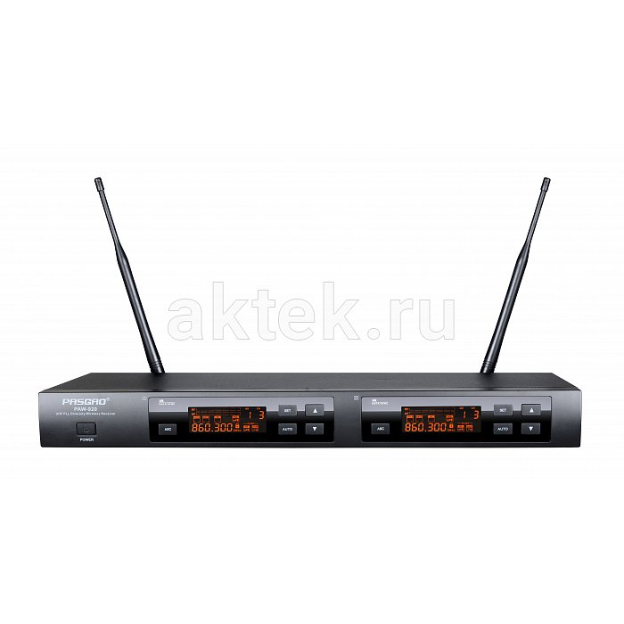 Двухканальная вокальная радиосистема Pasgao PAW-920
