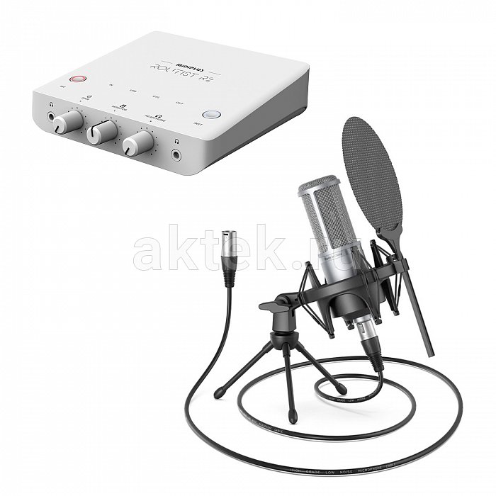 Звуковая карта + микрофон Midiplus Routist R2/Donner DC20