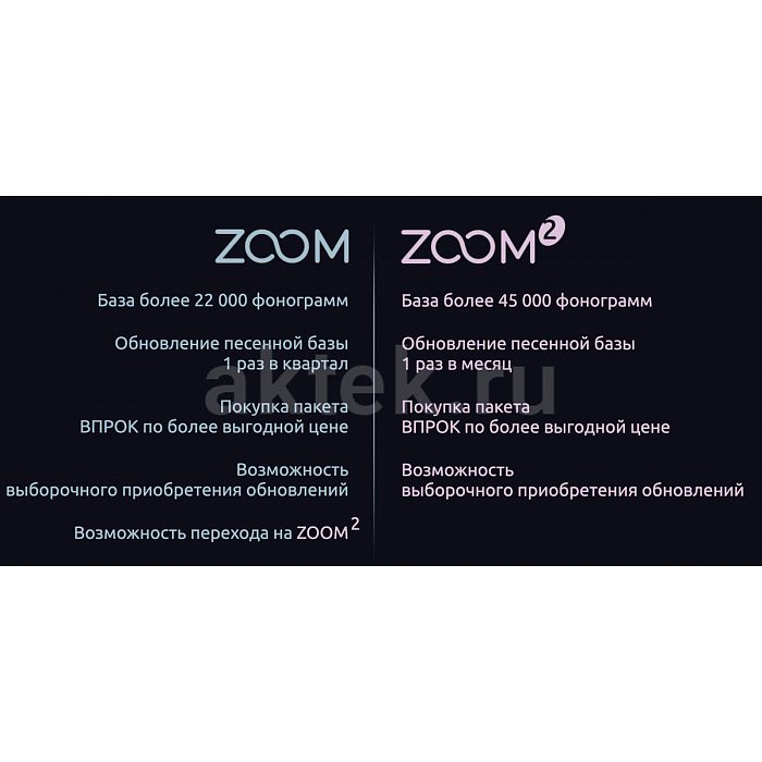 Профессиональная караоке система с микрофонами и акустикой AST Zoom+Audio Pro A38 7