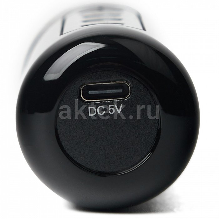 Портативная караоке колонка с микрофонами SkyDisco YS-219 4