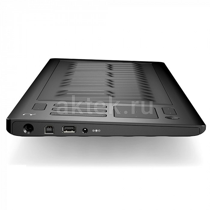 Клавишный инструмент ROLI RISE 25 3