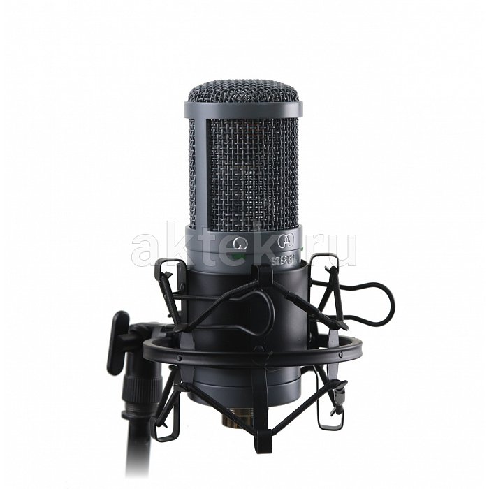 AuraSonics AD22S STEREO стерео микрофон студийный, золотой