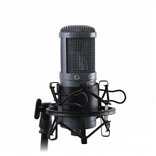 AuraSonics AD22S STEREO стерео микрофон студийный, золотой