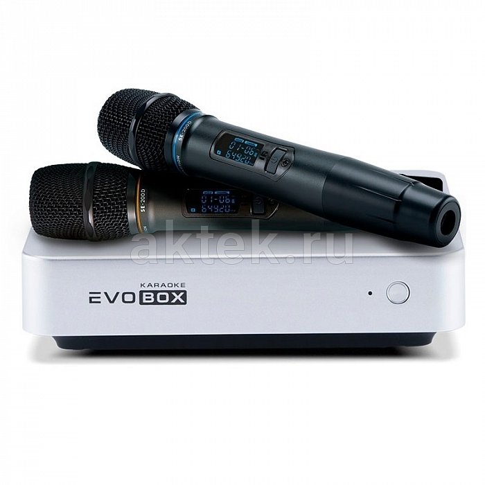 Караоке система с микрофонами Studio Evolution EVOBOX Plus с годовым обновлением Silver