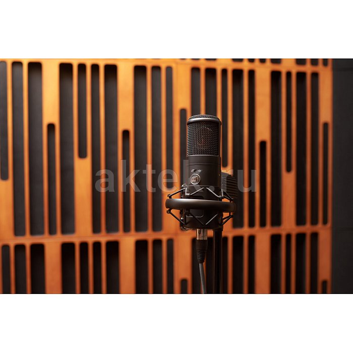 Студийный микрофон Warm Audio WA-8000 10