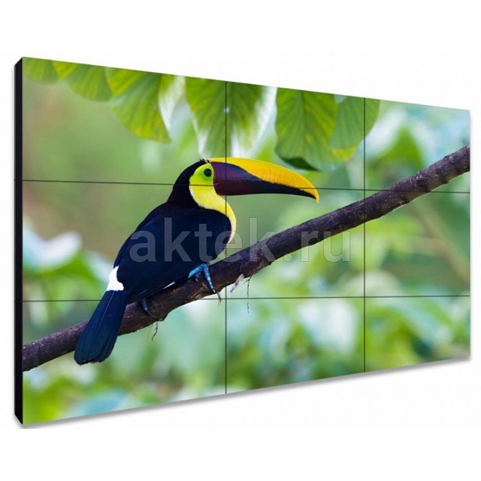 Exell EXPD-WA55AB15 профессиональная ЖК-панель 55″ FHD 500 кд/м²