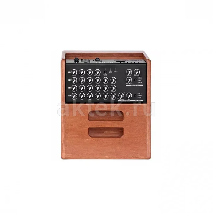 Acus One ForStrings 5Ferdi Wood акустический комбоусилитель 70 Вт, трёхканальный 5