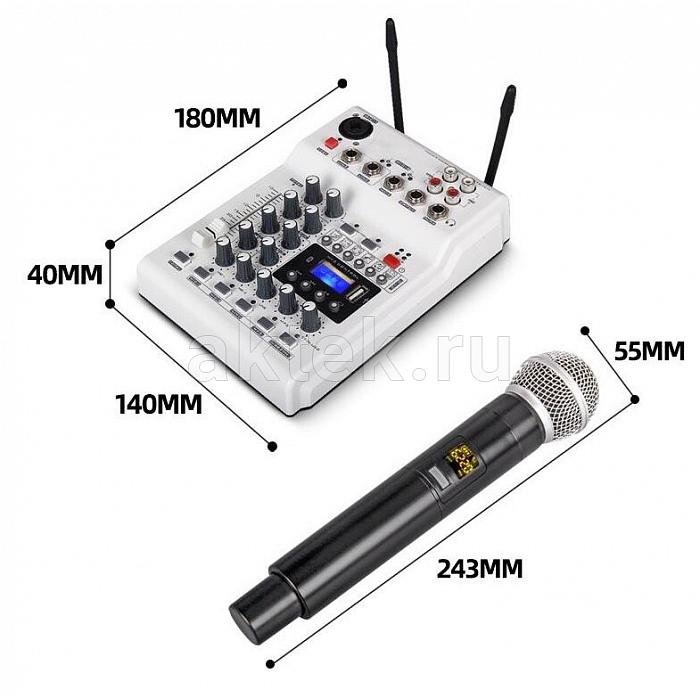 Онлайн караоке для дома с колонками SkyDisco UM-100 + SM-3BT 5