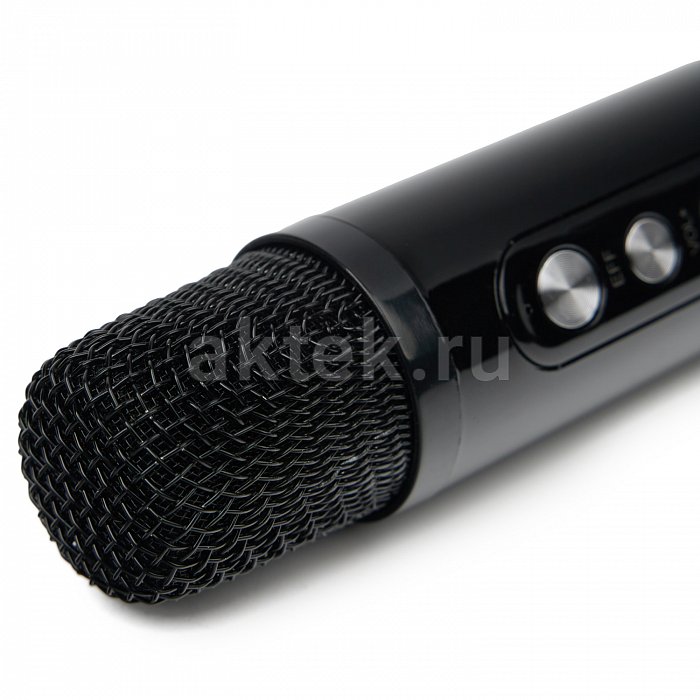 Портативная караоке колонка с микрофонами SkyDisco YS-314 6