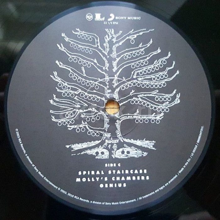 Виниловая пластинка KINGS OF LEON - YOUTH AND YOUNG MANHOOD 180 GRAM BLACK VINYL 12" 6