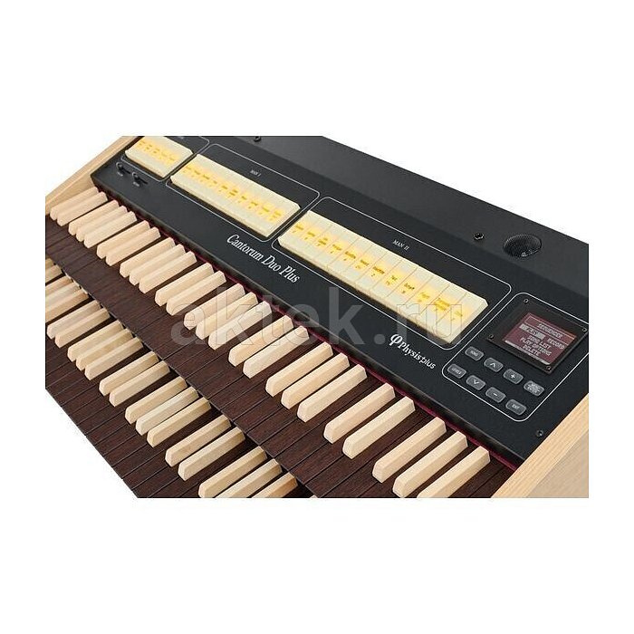 Цифровой орган Viscount Cantorum DUO Plus-W 7